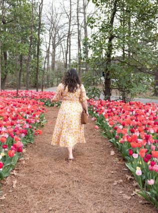 Woman walking through the tulip gardens at Dixon Gallery & Gardens