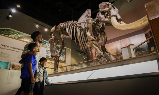 A man and two children look at the fossils at Pink Palace Museum &amp; Mansion.
