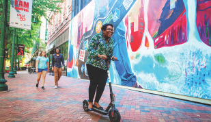 Bird Scooters