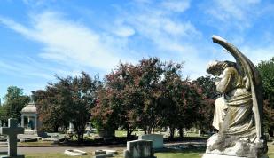 Inside Elmwood Cemetery / Andrea Zucker