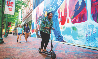 Bird Scooters